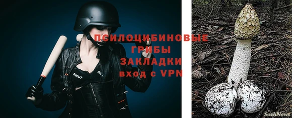 ешки Алексеевка